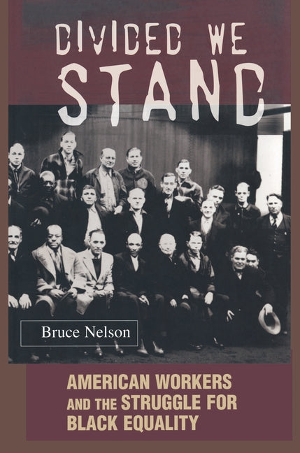 Divided We Stand: American Workers and the Struggle for Black Equality - Ingram