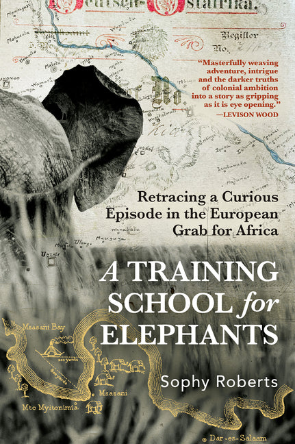 A Training School for Elephants - Ingram