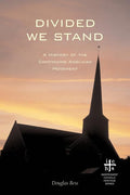 Divided We Stand: A History of the Continuing Anglican Movement - Ingram