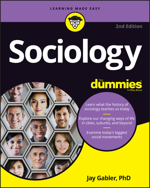 Sociology for Dummies - Ingram