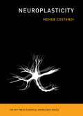 Neuroplasticity - Ingram