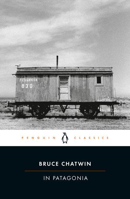 In Patagonia - Ingram