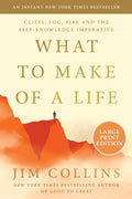 What to Make of a Life: Cliffs, Fog, Fire and the Self-Knowledge Imperative - Ingram