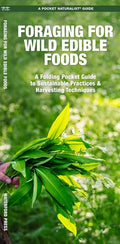 Foraging for Wild Edible Foods - Ingram