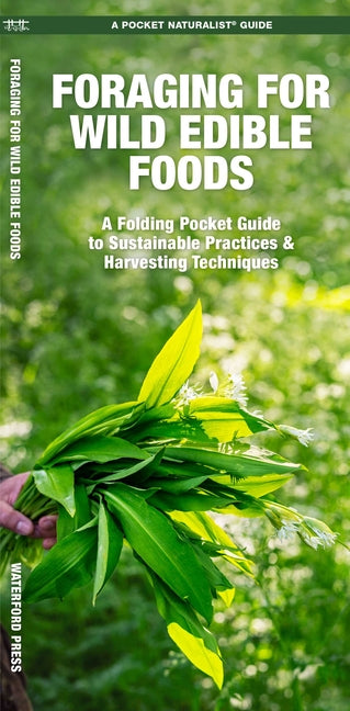 Foraging for Wild Edible Foods - Ingram