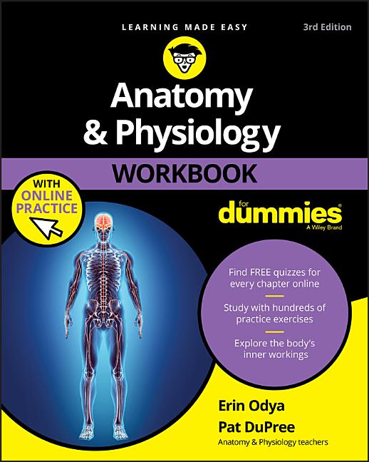 Anatomy & Physiology Workbook for Dummies with Online Practice - Ingram
