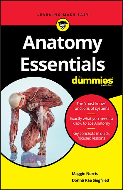Anatomy Essentials For Dummies - Ingram