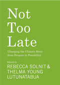 Not Too Late: Changing the Climate Story from Despair to Possibility - Ingram
