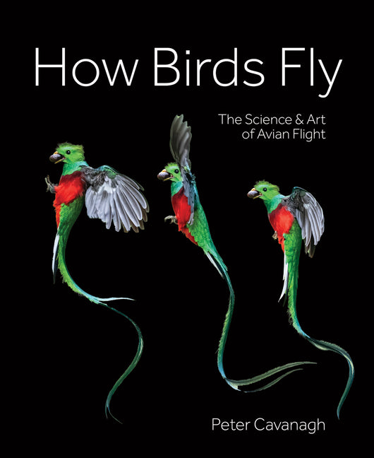 How Birds Fly: The Science and Art of Avian Flight - Ingram