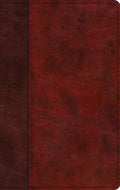 ESV Large Print Thinline Bible (Trutone, Burgundy/Red, Timeless Design) - Ingram