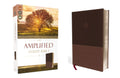 Amplified Study Bible, Imitation Leather, Brown - Ingram