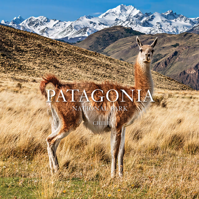 Patagonia National Park: Chile: Chile - Ingram