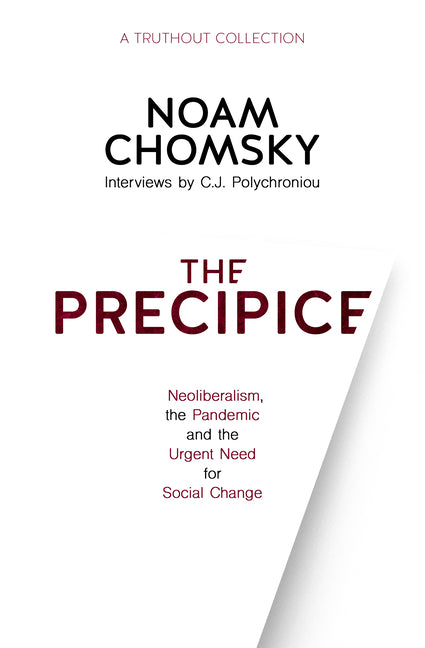 The Precipice: Neoliberalism, the Pandemic and the Urgent Need for Social Change - Ingram