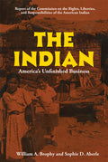 The Indian: America's Unfinished Business - Ingram