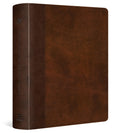 ESV Journaling Study Bible (Trutone, Brown/Chestnut, Timeless Design) - Ingram